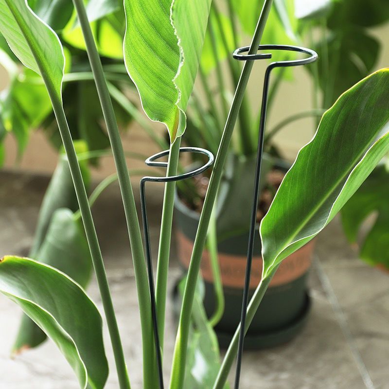 1/10 шт., садовое опорное коль – обзор и цена Gardening Tools Hoe