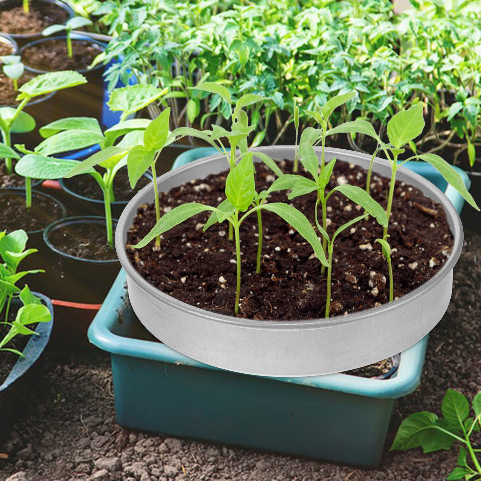 1 комплект лотков для проращив – обзор и цена Seed Starter Trays