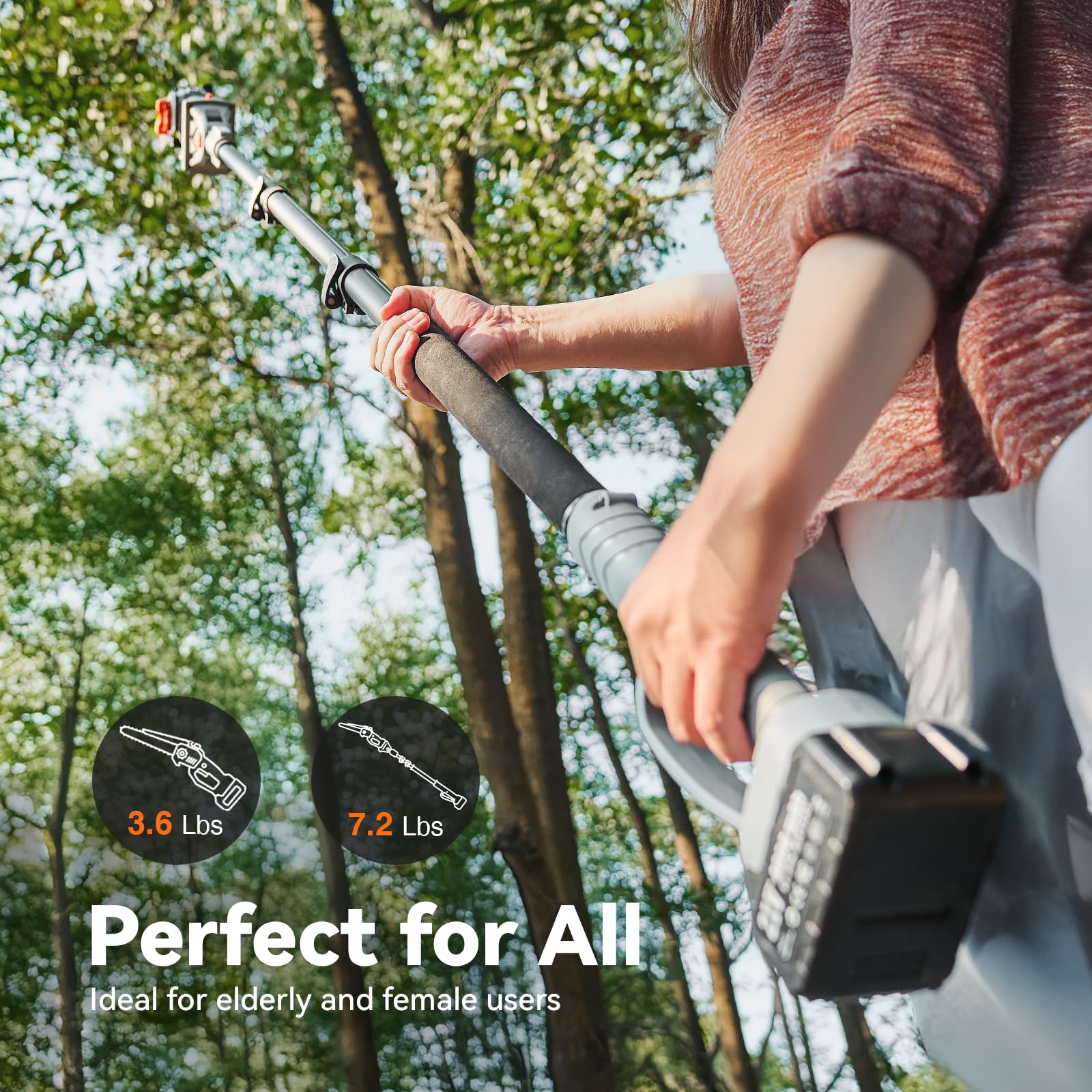 Цепная пила-сучкорез TaskStar  – обзор и цена Gardening Tools Brands