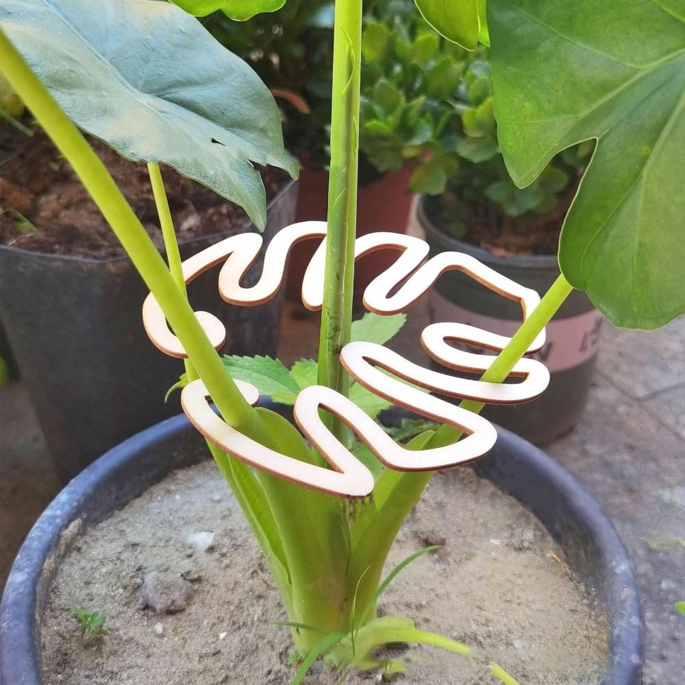 1/2 шт. многоразовый бамбуковы – обзор и цена Gardening Tools Hoe
