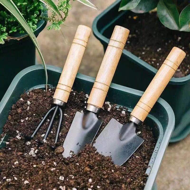 3 шт./1 компл. мини-набор садо – обзор и цена Gardening Tools Hoe
