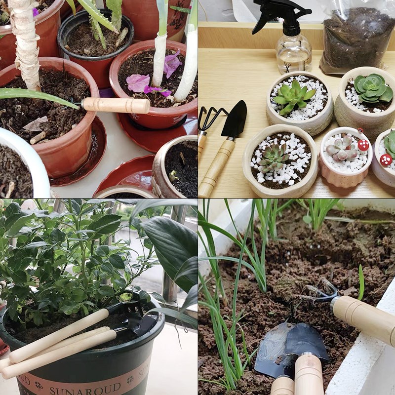 3 шт./1 компл. мини-набор садо – обзор и цена Gardening Tools Hoe