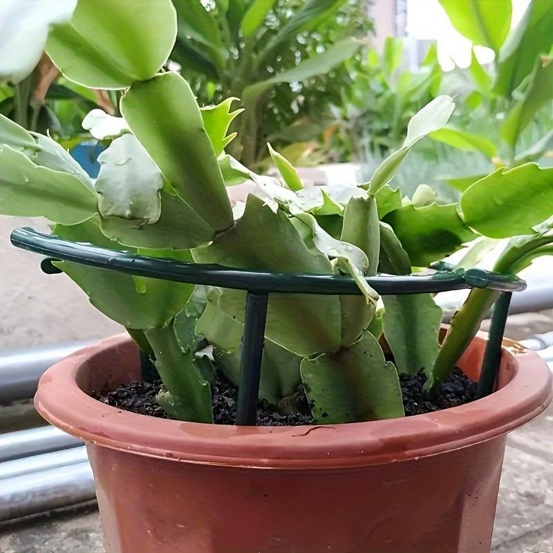 30-1 шт. Пластиковая полукругл – обзор и цена Gardening Tools Hoe