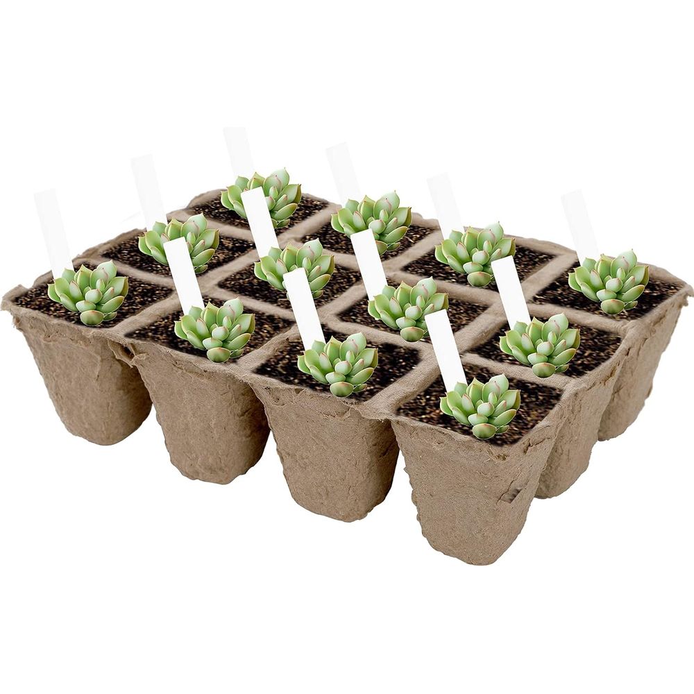 Набор из 40 торфяных горшков д – обзор и цена Seed Starter Trays